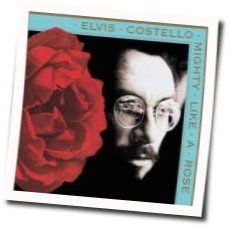 After The Fall by Elvis Costello