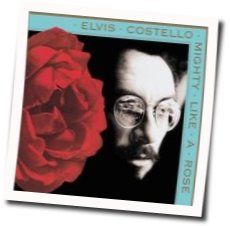 After The Fall Tab by Elvis Costello