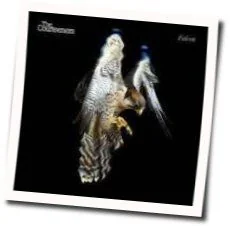 Bojangles Tab by The Courteeners