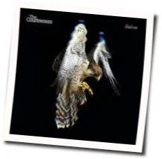 The Rest Of The World Has Gone Home Chords by The Courteeners