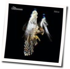 The Rest Of The World Has Gone Home Chords by The Courteeners