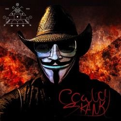It's Not Me It's You Chords by Cowboy Skank