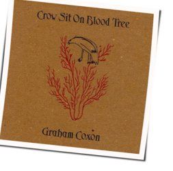 A Place For Grief Tab by Graham Coxon