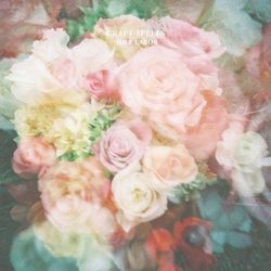 Beauty Above All Chords by Craft Spells