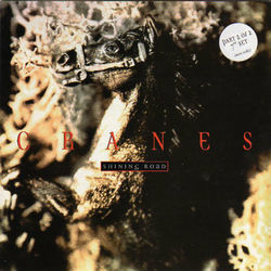 Shining Road  Chords by Cranes