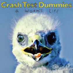 Swatting Flies Chords by Crash Test Dummies