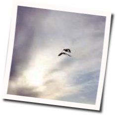 Liver Alone Chords by Chris Cresswell