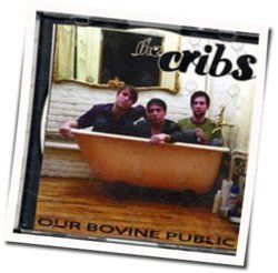 Our Bovine Public Guitar Chords By The Cribs Guitar Chords Explorer