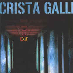 Cayendo Desde El Cielo Chords by Crista Galli