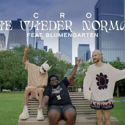 Nie Wieder Normal Chords by Cro