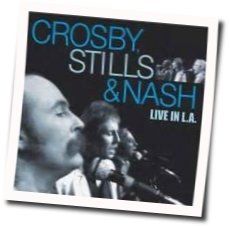 Just A Song Before I Go Tab by Crosby Stills Nash And Young