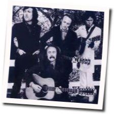 Only Waiting For You by Crosby Stills Nash And Young