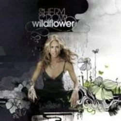 I Don't Wanna Know Chords by Sheryl Crow