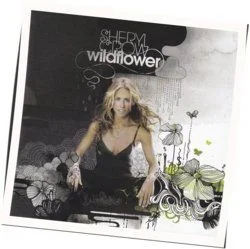 Lifetimes Bass Tab by Sheryl Crow