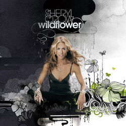 Chances Are by Sheryl Crow