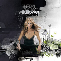 Chances Are Tab by Sheryl Crow