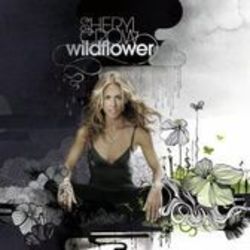 I Don't Wanna Know by Sheryl Crow