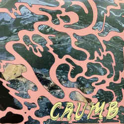 Locket Bass Tab by Crumb