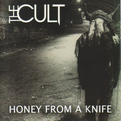 Honey From A Knife Chords by The Cult