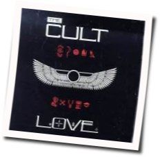 Speed Of Light by The Cult