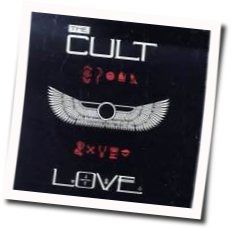 Speed Of Light Tabs by The Cult