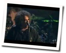 The Hungry Ghost Bass Tab by The Cure