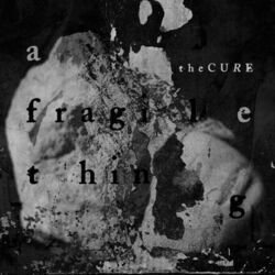 A Fragile Thing Chords by The Cure
