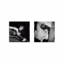 Dogfight Tab by Current Joys