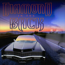 Diamond In The Back by Mayfield Curtis