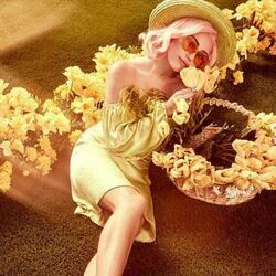 Wildflowers Chords by Miley Cyrus