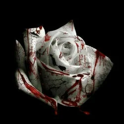 Romantic Homicide (Ver2) Chords by D4vd