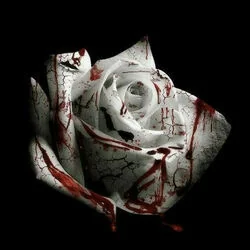 Romantic Homicide Bass Tab by D4vd