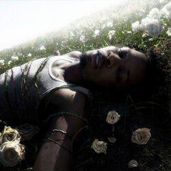 Is This Really Love Chords by D4vd