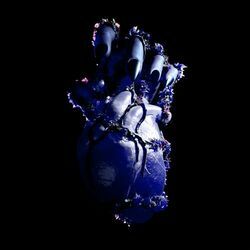 Poetic Vulgarity Chords by D4vd