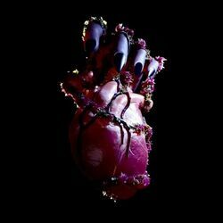 Poetic Vulgarity  Chords by D4vd