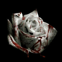 Romantic Homicide Intro by D4vd
