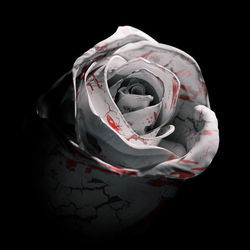 Romantic Homicide Ukulele by D4vd