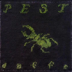 Seed Chords by Daffo