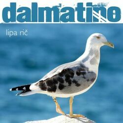 To Nije Zna Niko Ka Ja Chords by Dalmatino