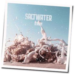 Saltwater Chords by Damian Mcginty