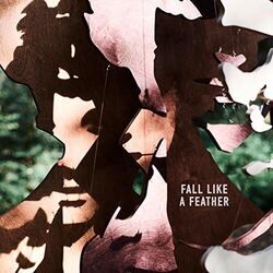 Fall Like A Feather by Dan Owen