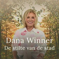 De Stilte Van De Stad by Dana Winner