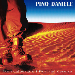 Bambina Chords by Pino Daniele