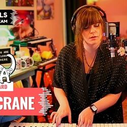 The Crane Chords by Danielle Allard