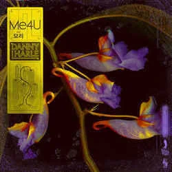 Me4u (feat. Morrie) Chords by Danny L Harle
