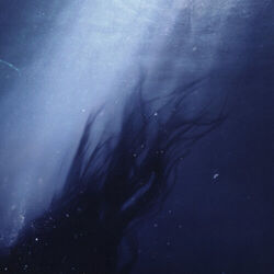 Azimuth by Danny L Harle