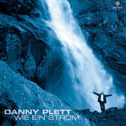 Darum Jubel Ich Dir Zu Chords by Danny Plett