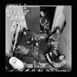 What I Needed Ukulele Chords by Dark Dark Dark