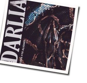 Stars Are Aligned Chords by Darlia