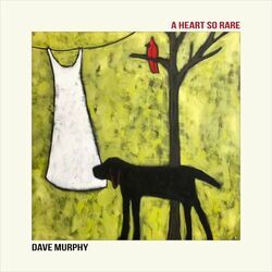 After The Hurricane Chords by Dave Murphy